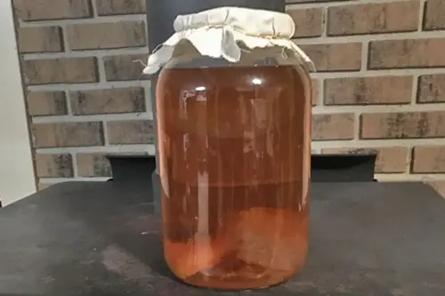 How to make a one-gallon jar of Kombucha Tea