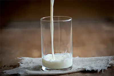 Milk kefir is full of probiotics, similar to yogurt and other cultured and fermented products
