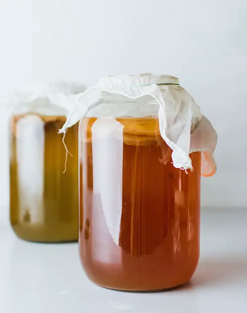 recipe for one gallon of kombucha tea