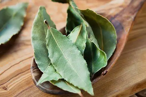bay leaves have tannins which are key to a crunchy pickle