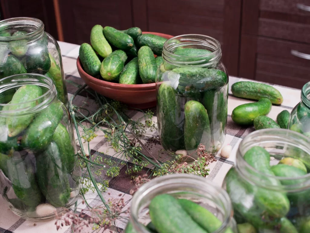make-fermented-pickles-crunchy-with-tannins