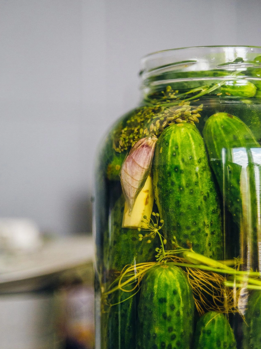 best brands of pickles for gut health probiotics