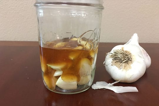 fermented honey garlic recipe