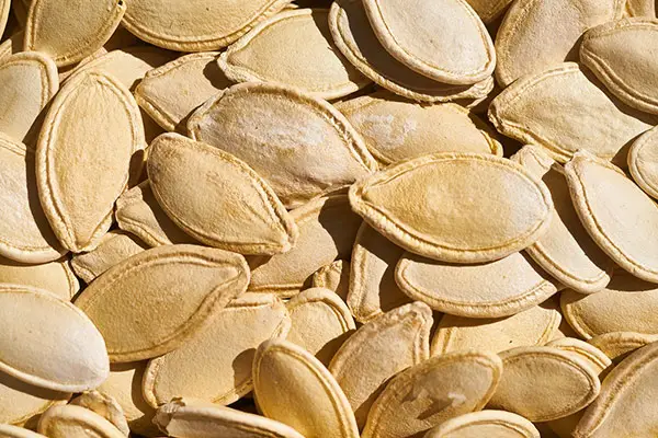 dried pumpkin seeds