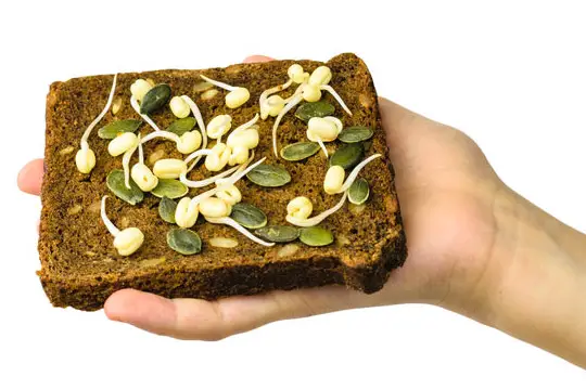 sprouted pumpkin seeds on bread