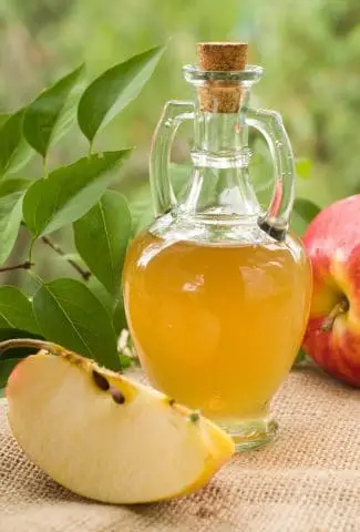 apple cider vinegar and apple slice