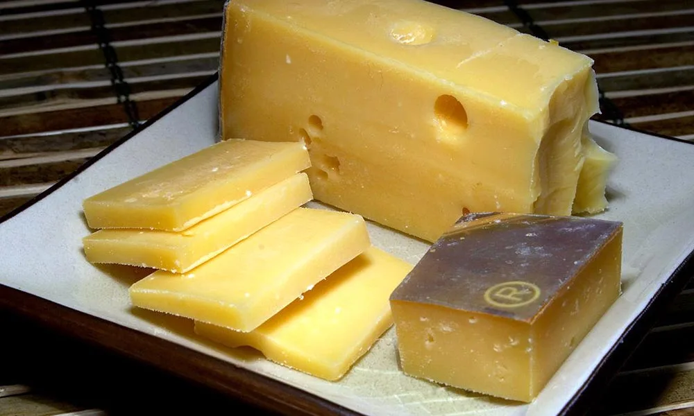gouda cheese is healthy gut probiotics