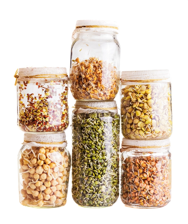 sprouting seeds in a jar step by step