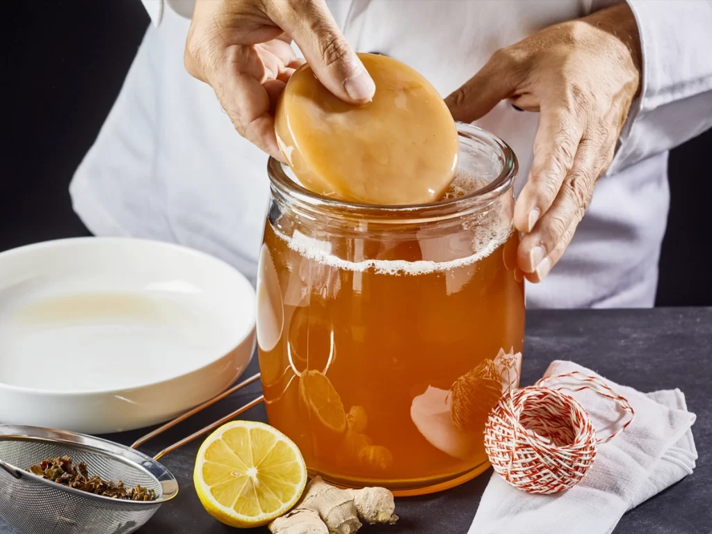 kombucha recipe add scoby to tea