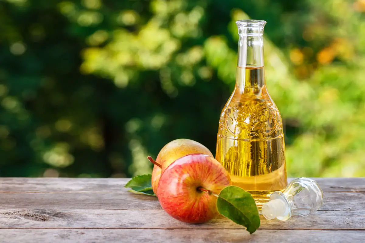 Differences Between Apple Cider Vinegar And White Vinegar