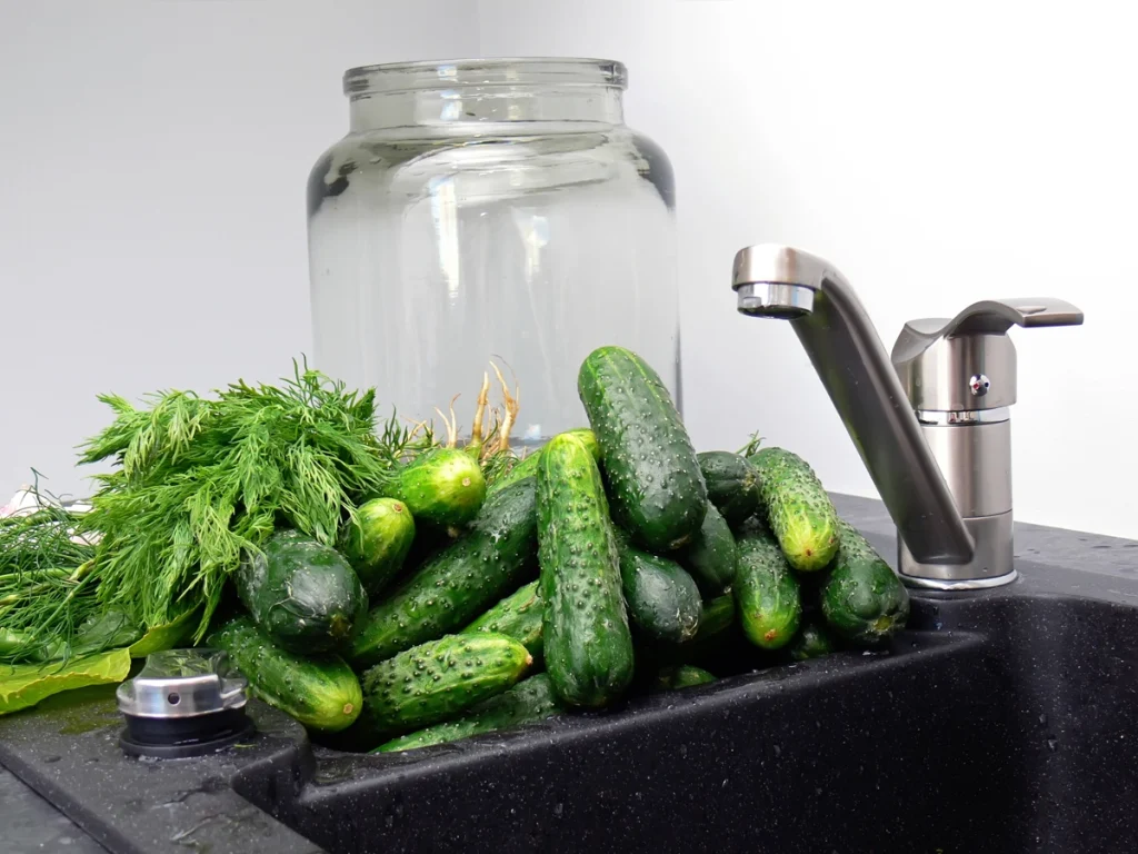 fermented pickles recipe first wash pickles