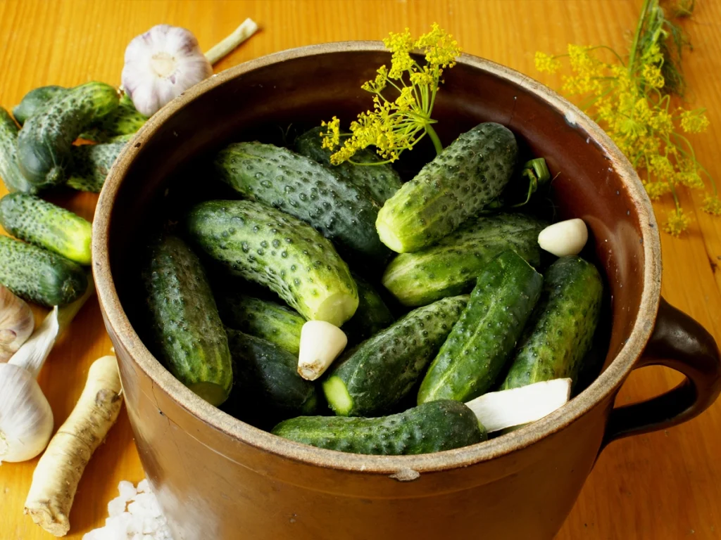 fermented pickles recipe in a crock