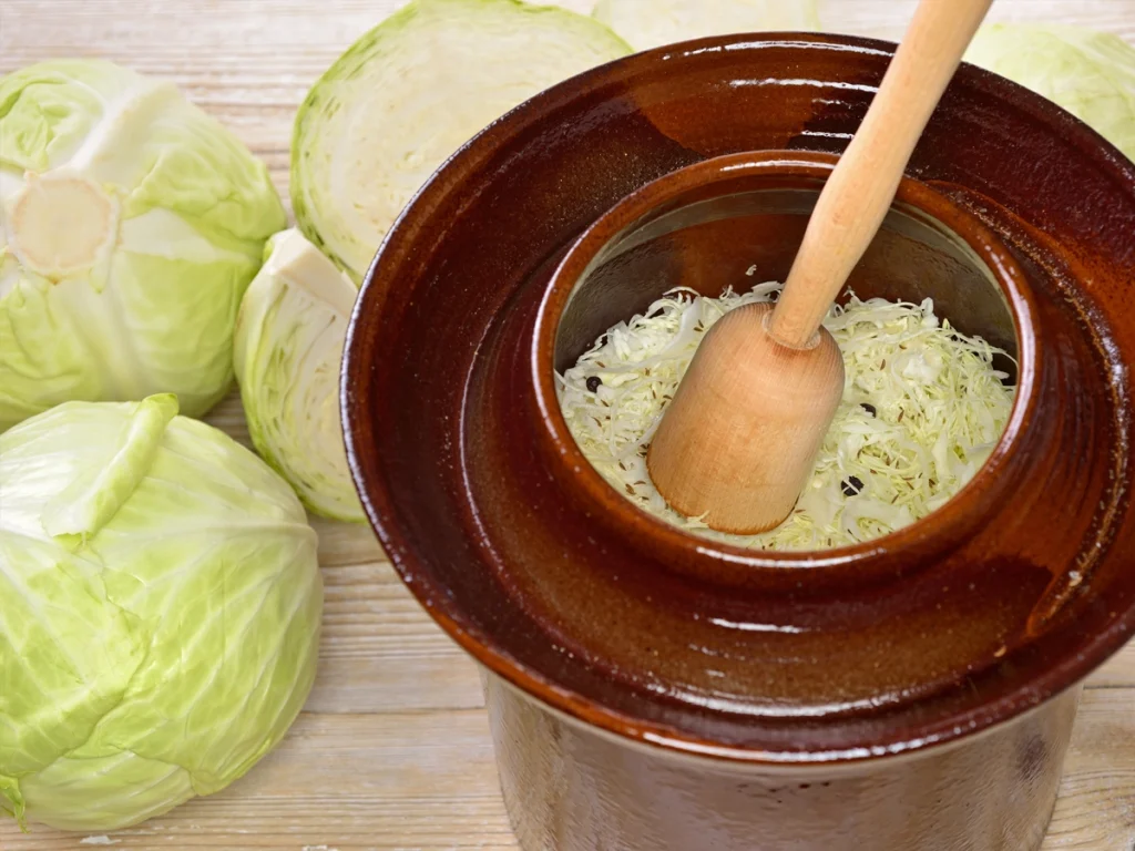 sauerkraut in a fermentation crock