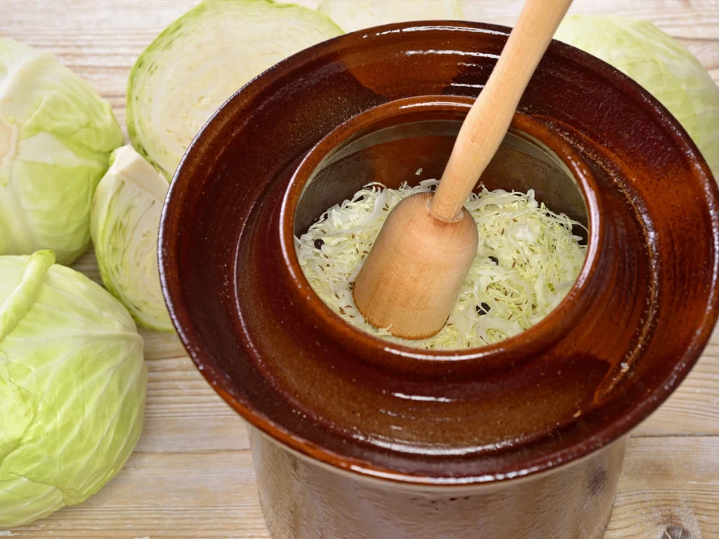 make juniper and caraway sauerkraut in fermentation crock
