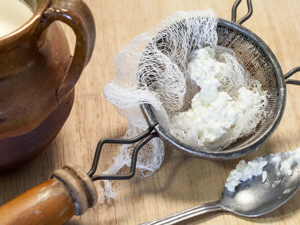 how to make cottage cheese with probiotics