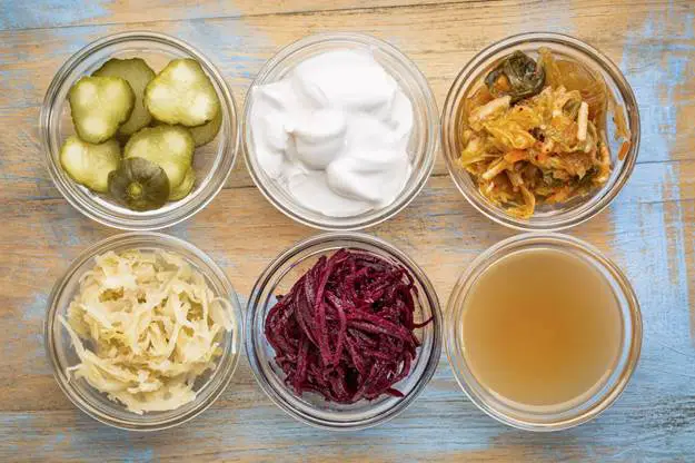 Tips for Achieving the Best Fermentation Temperature