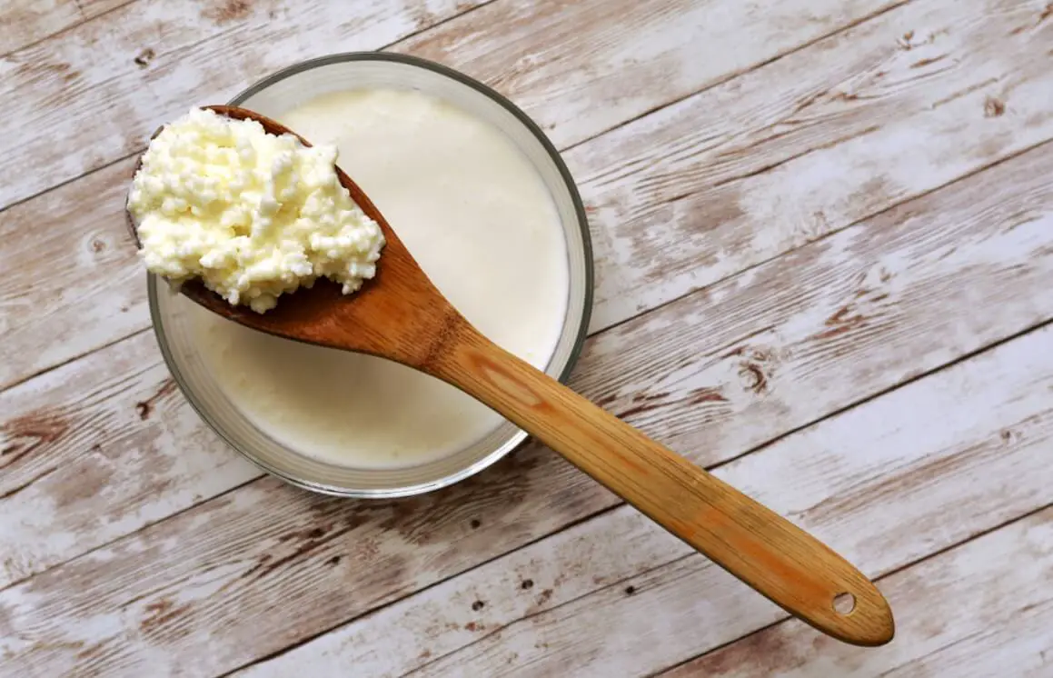 curd in bowl and spoon