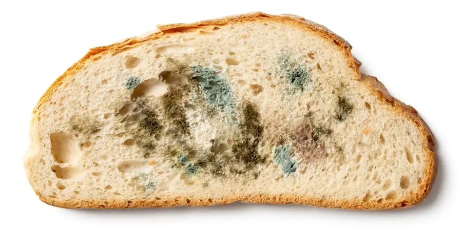 molded bread