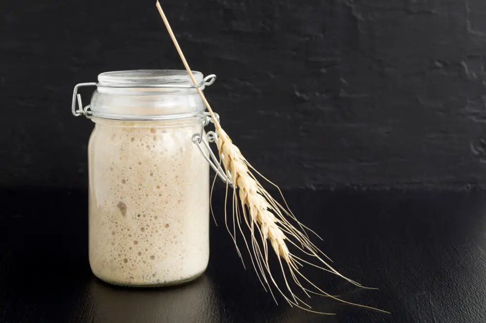 sourdough in jar with wheat