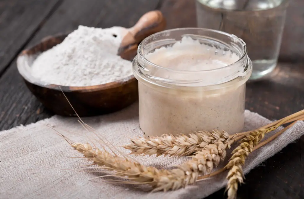 sourdough ingredients