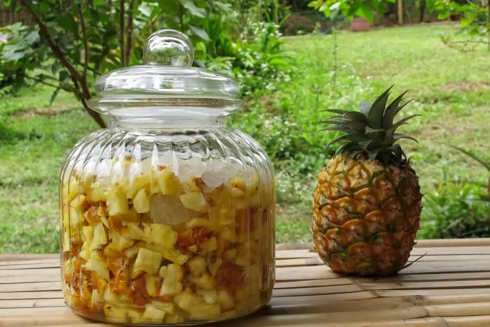 pickled pineapple jalapeno cilantro in a large jar