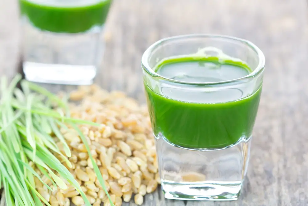 wheatgrass juice with wheat