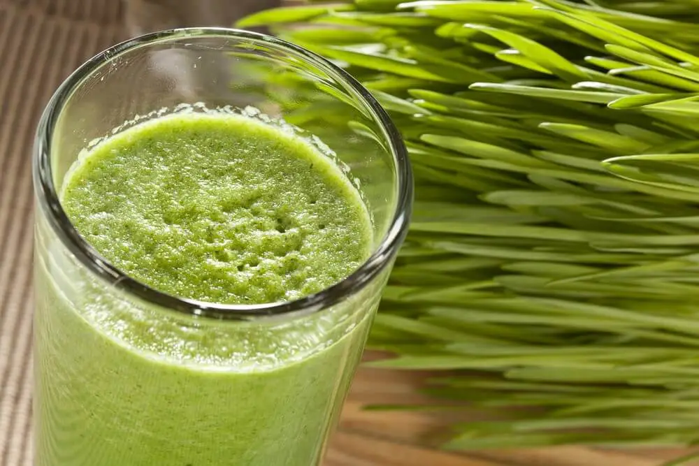 wheatgrass juice