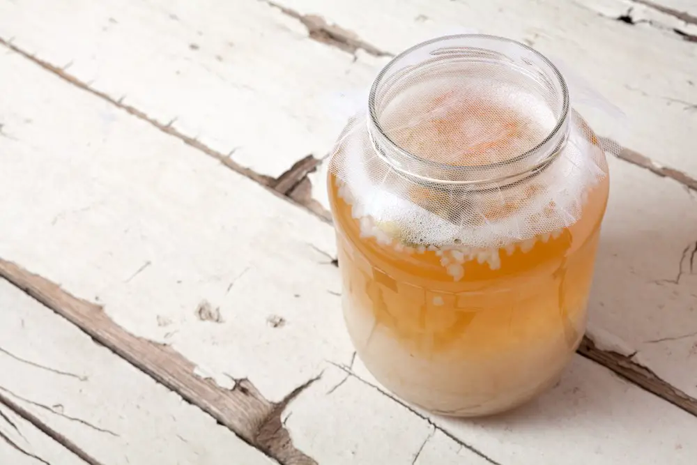 Water Kefir with grains in a jar