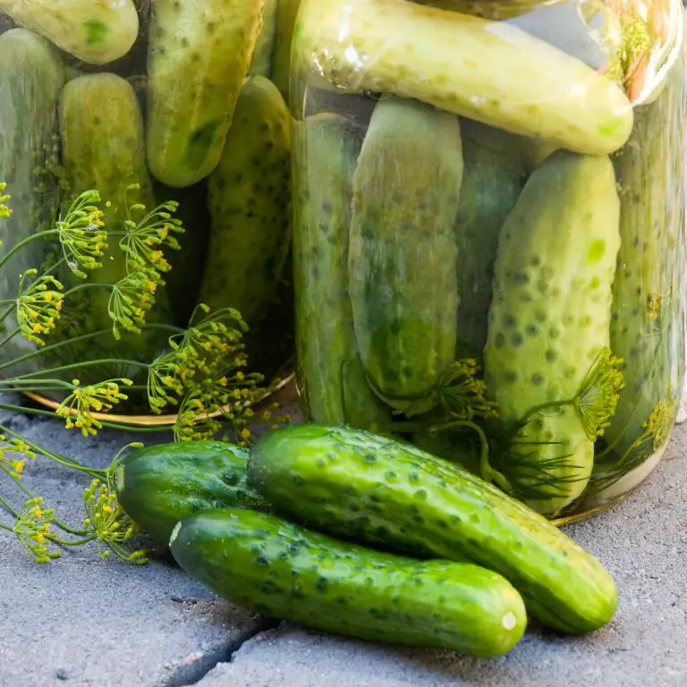 how to fix pickles that are too salty