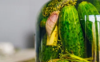 brands of pickles fermented and have probiotics