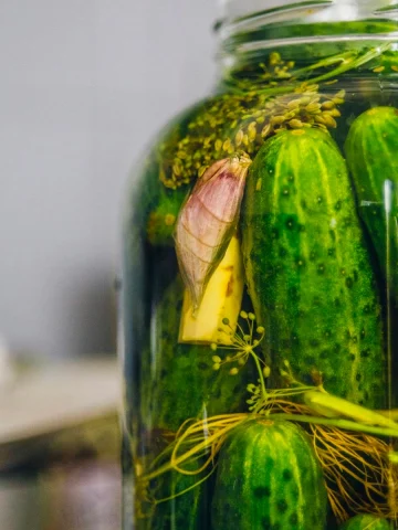 brands of pickles fermented and have probiotics