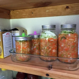 can you ferment vegetables in a plastic container