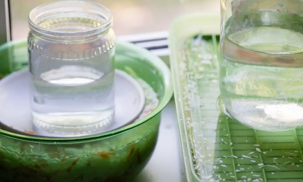 Can You Ferment Vegetables in Plastic Containers?