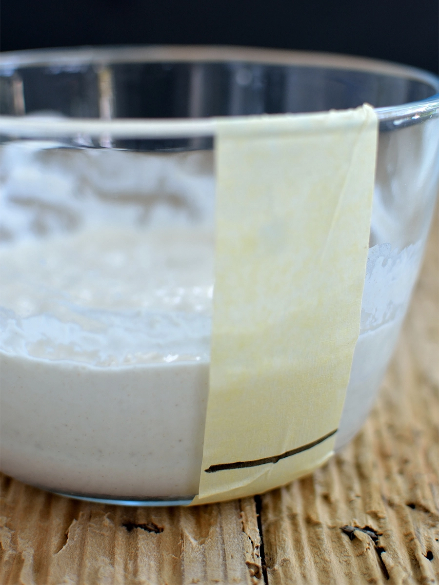 how to know sourdough starter is ready to bake with