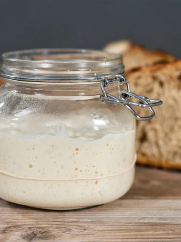 signs sourdough starter is ready to bake with
