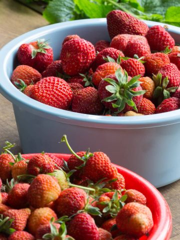 fermented strawberries recipe by fermenters kitchen