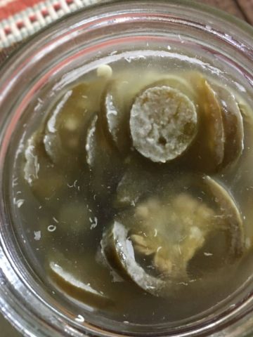 kahm yeast growing on fermented jalapenos in a jar