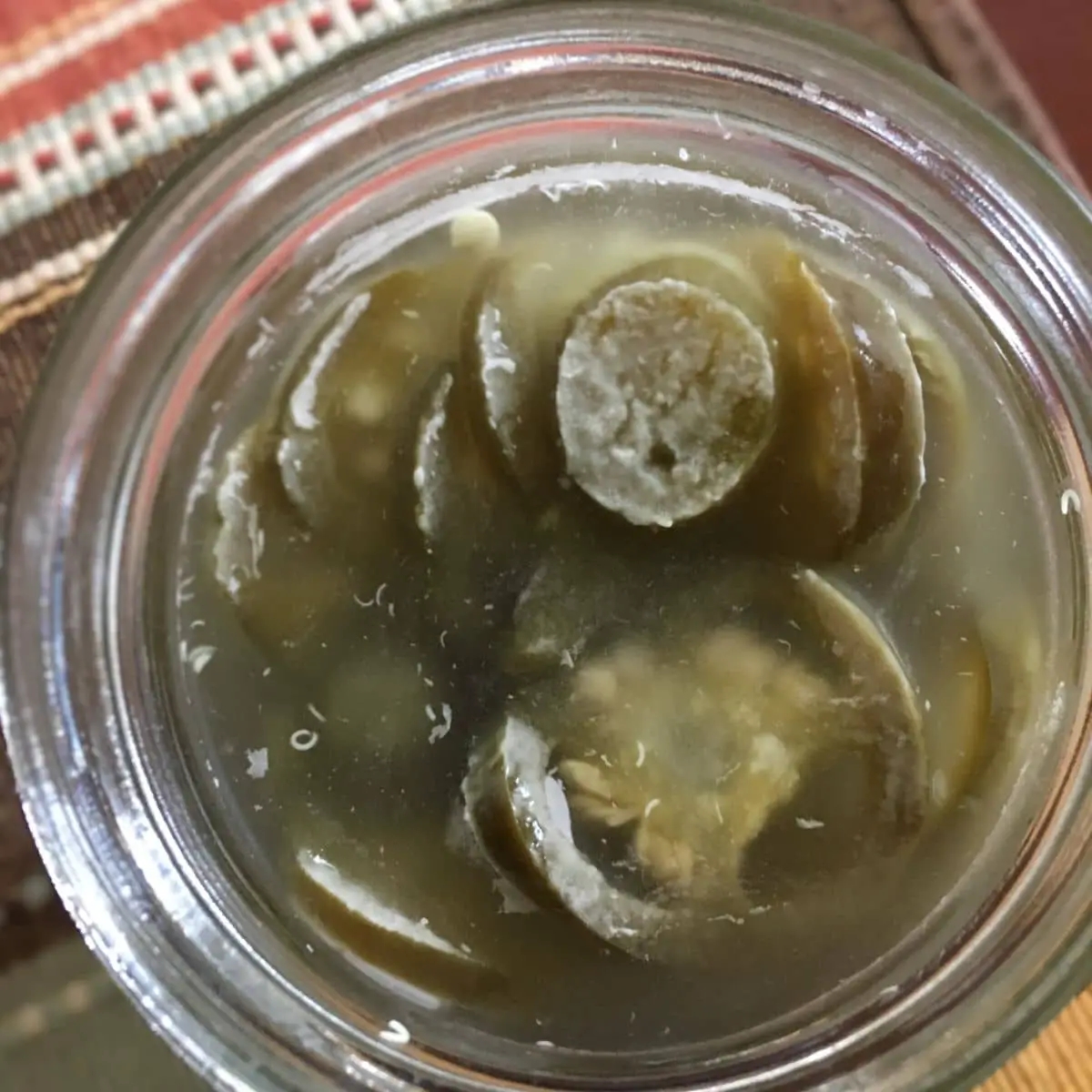 kahm yeast growing on fermented jalapenos in a jar